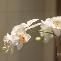 pension en Pologne logement Cracovie